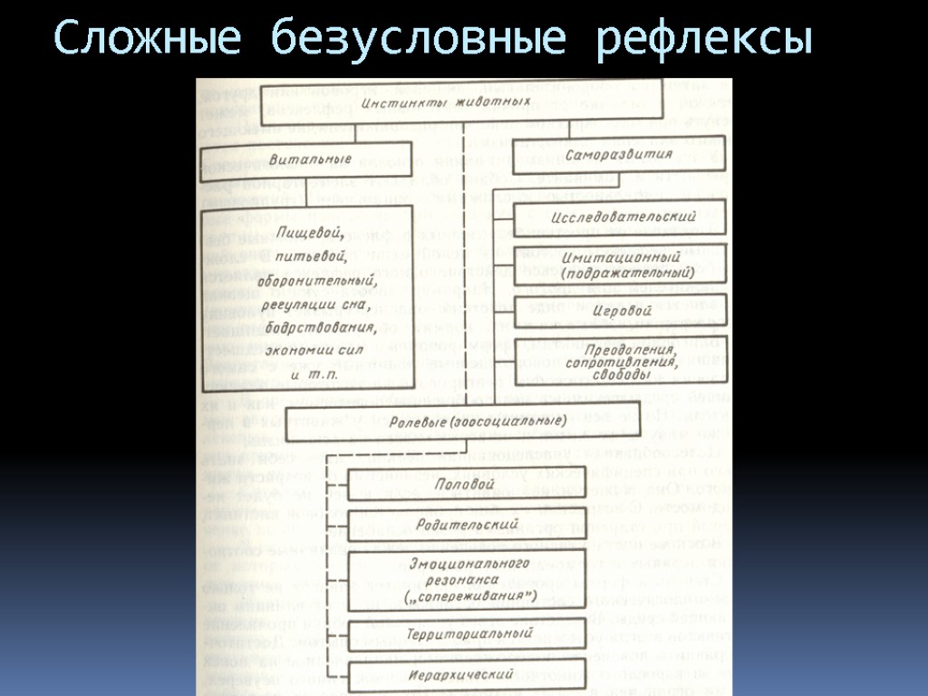 Сложные безусловные рефлексы